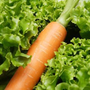 乾燥肌は女性の大敵 乾燥肌を改善する食べ物を知ろう