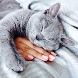 レム睡眠、ノンレム睡眠について