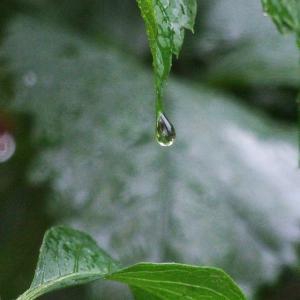 冷やすのは逆効果?!発汗をともなう後頭部の頭痛の原因と対処法