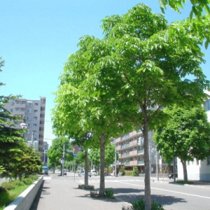 働く女性が満足できる仕事後の過ごし方