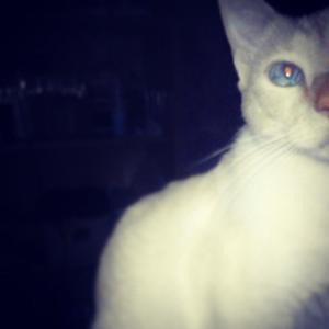 臨月のストレスで眠れないときは