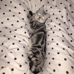 臨月の不眠はホルモンの影響かも