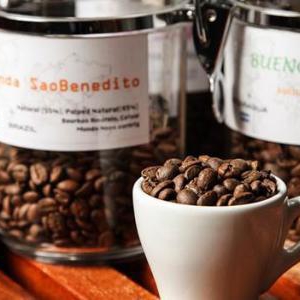 コーヒーの基礎知識とコーヒー豆の種類