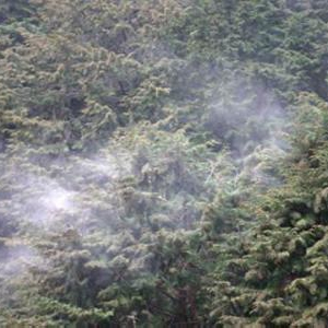 花粉症の頭痛を改善するために