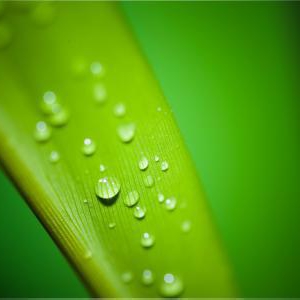 雨の量を正確に予測できる気象庁のレーダー