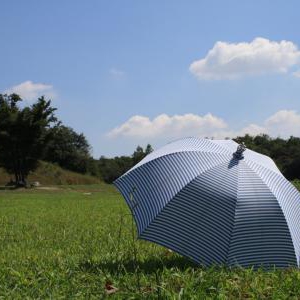 脇汗の原因と汗腺について