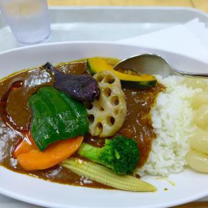 夏バテに最適な食べ物がカレー