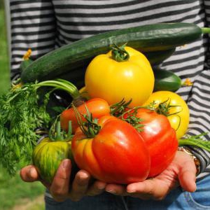 夏バテはおすすめの野菜で解消