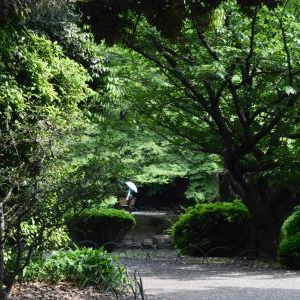夏バテ対策に役立つ便利グッズがあります