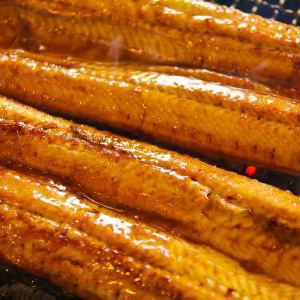 「夏バテの予防に鰻」の真実