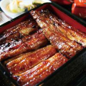 夏バテ防止の食材としてのうなぎ