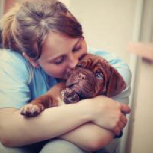 愛犬の夏バテ予防は室内の温度調節が大事