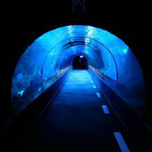 雨の日のお出かけデートスポット