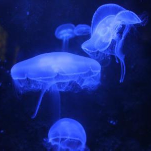 雨の日でも楽しく過ごせるお出かけスポット