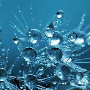 雨の日は本当に花粉が飛ばないのか