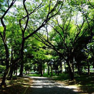 都内にもありました!近場のパワースポットでさらにパワーをもらうコツ