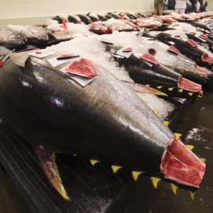 同窓会でマグロ呼ばわり涙・・・1年後、変身して出席できた理由は!?