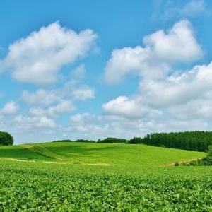 旅行気分でお金も貯まる!夏こそリゾートバイトが激アツ♡