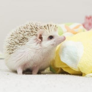 鼻筋を高くする方法とは?オススメ5選
