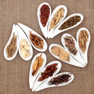 ニキビに効果的な漢方薬の種類とその選び方にはどのようなものがあるのか