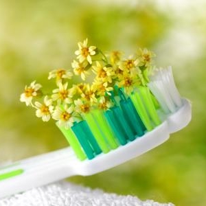 低刺激の「植物性歯磨き」なら大人から子供まで安心して使える!