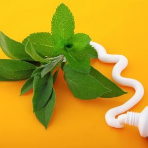 低刺激で安心!天然植物由来成分の「植物性歯磨き剤」とは?